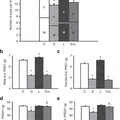 Litter Size Sex Ratio And Perinatal Body Weight Of Pups Born To