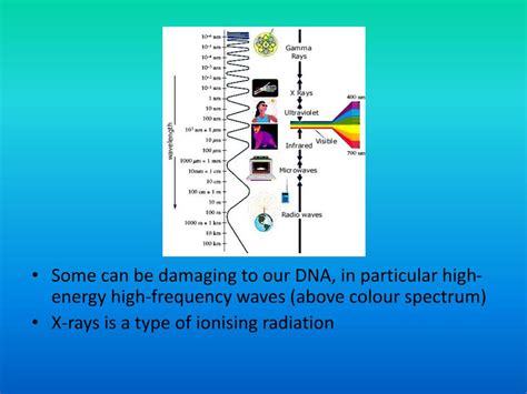 Ppt Medical Imaging Powerpoint Presentation Free Download Id 3006805