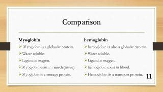 Hemoglobin and myoglobin | PPT