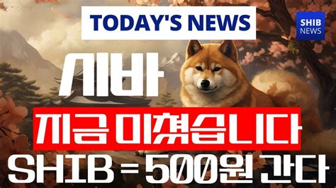 시바이누 코인 시바가 지금 미쳤습니다 Shib 500원 간다 시바이누코인 코인 코인전망 시바이누 일론