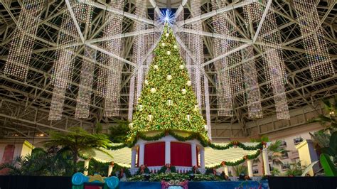 Christmas Hotel Packages And Events Gaylord Palms Resort