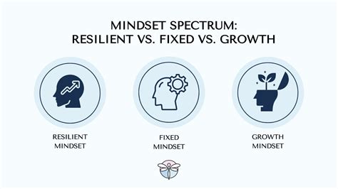 Resilient Mindset Unlocked: An Entrepreneur's Guide To Holistic Success