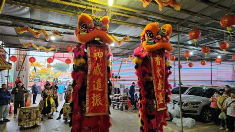 【勁騰龍獅鼓藝坊 醒獅團＆戰鼓團】~113石牌賴家關聖帝君恭祝石牌福星宮福德正神聖誕 Youtube