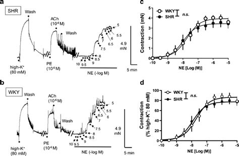 Concentration Response Curves For Norepinephrine Mediated Contractions