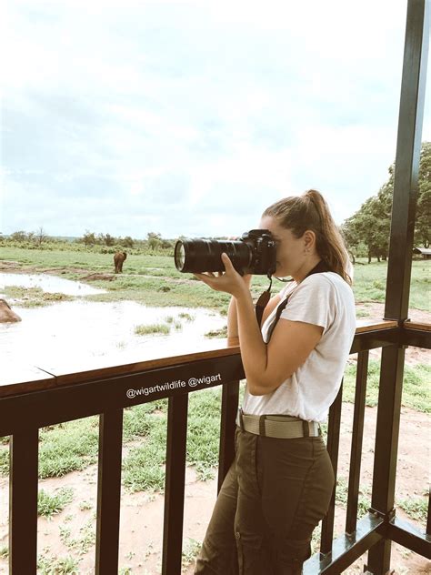 Female Wildlife Photographer And Zoologist Taking Photos Of Wild