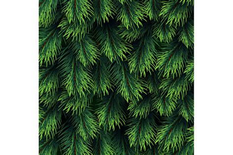 Fir Tree Branches Pattern Christmas Background With Green Pine Branch