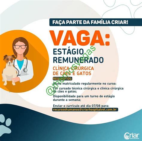 Estágio em Veterinária Teresina PI 01 vaga s Themos Vagas