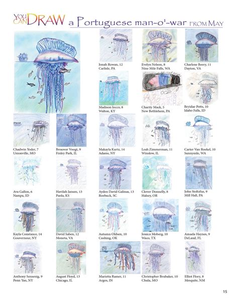 You Can Draw a Portuguese Man-o’-war Submissions | Nature Friend Magazine