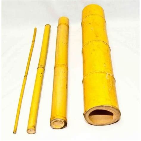 Bamboo Sticks at ₹ 50/piece | Bambu Sticks in Pune | ID: 17634923673