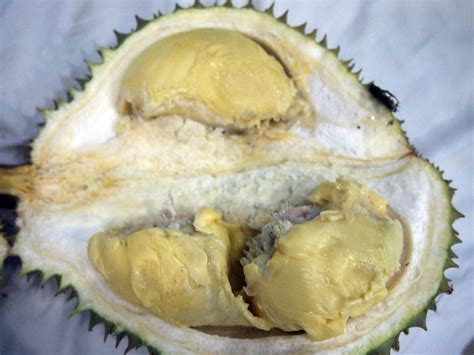 Vietnam Durian Varieties