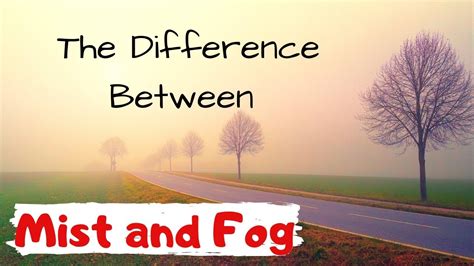 Review Of Difference Between Fog And Mist References Teknoho