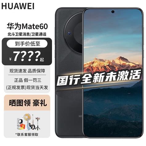 华为mate60与p60哪个更好？