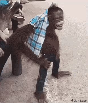 Monkey Cool GIF - Monkey Cool Mood - Discover & Share GIFs