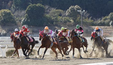 2007年1月14日（日） 高知競馬 4r レース にゃお吉の高知競馬応援写真日記＋α（高知の美味しいお店）