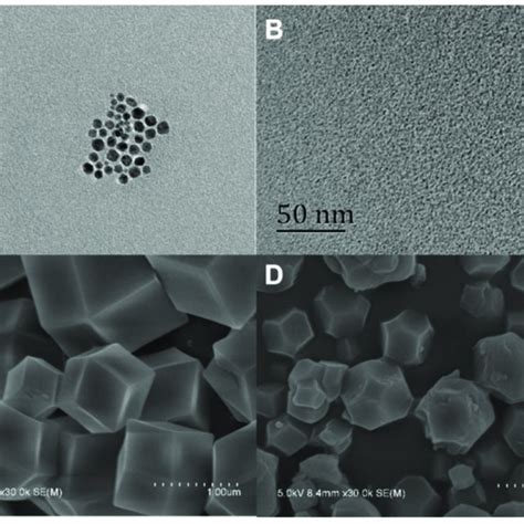 A Tem Image Of Cdsezns Qds B Tem Image Of Cqds C Sem Image Of