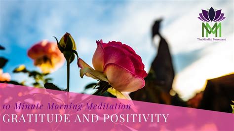 10 Minute Morning Meditation For Gratitude And Positivity To Start Your Day Mindful Movement