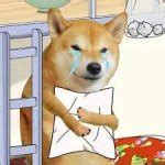 doge sad Meme Generator - Imgflip