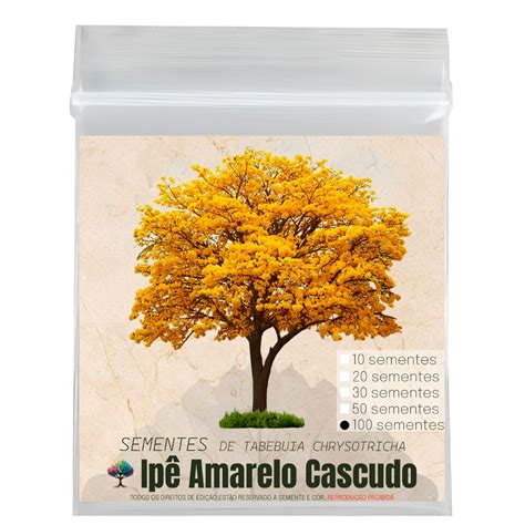 100 Sementes Para Mudas De Ipê Amarelo Cascudo Tabebuia Chrysotricha