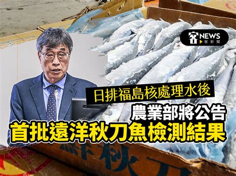 日排福島核處理水後 農業部將公告「首批遠洋秋刀魚」檢測結果 客新聞 Hakkanews