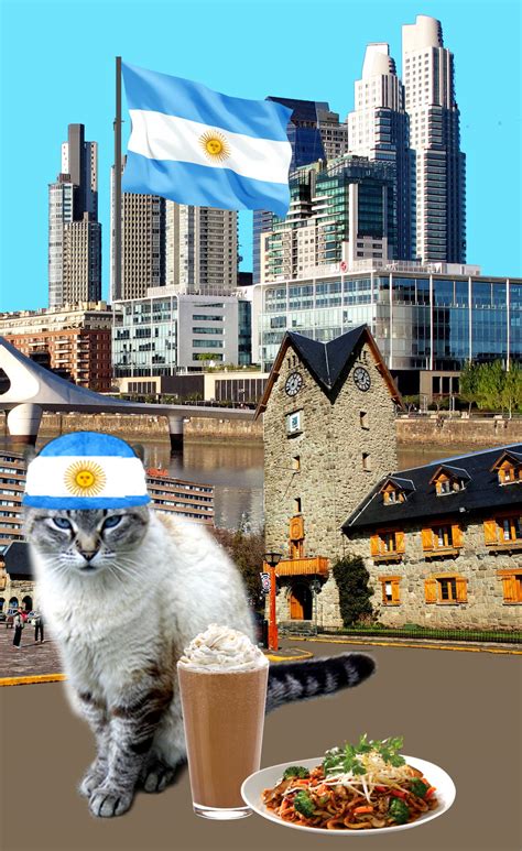 Argentina Cat By Gddvats123 On Deviantart