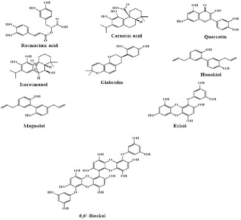 Structure Of Phytochemicals Used For Ad Download Scientific Diagram