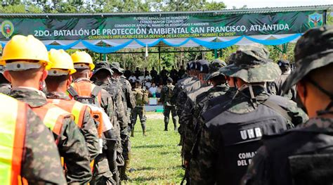 Ff Aa Lanza El Segundo Batall N De Protecci N Ambiental Diario La