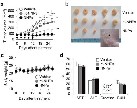 In Vivo Anti Tumor Activity Of Nucleoprotein Nanoparticles A