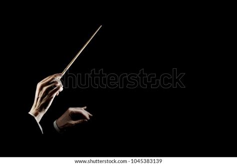 Orchestra Conductor Music Conducting Hands Conductor Stock Photo ...