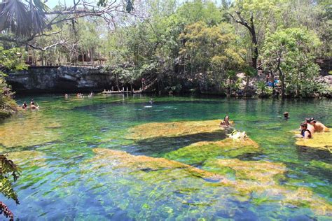 Jardin del Eden Cenote in Playa del Carmen, Mexico : r/Tropical