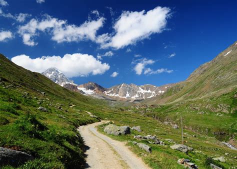 Estate Al Parco Parco Nazionale Dello Stelvio