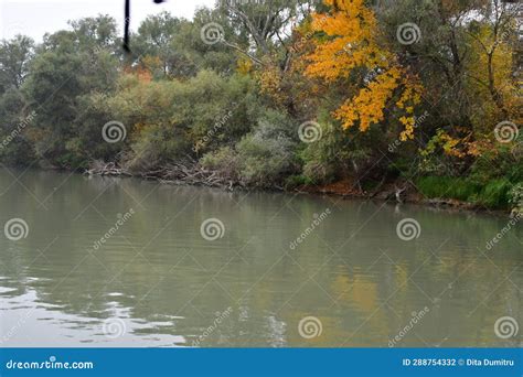 The Danube Delta Seen from the Danube River. Romania Stock Photo ...