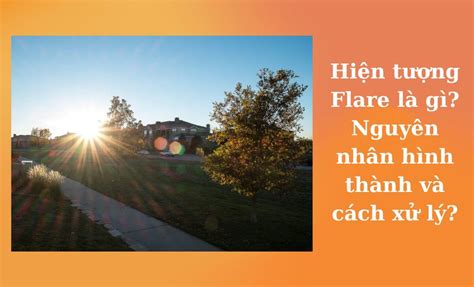 Hiện Tượng Flare Là Gì Nguyên Nhân Hình Thành Và Cách Xử Lý Máy Ảnh Xách Tay Nhật