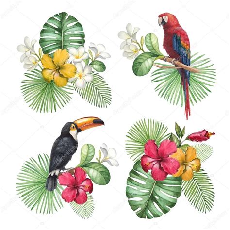 Ilustrações em aquarela de flores tropicais e aves Tropical Flowers