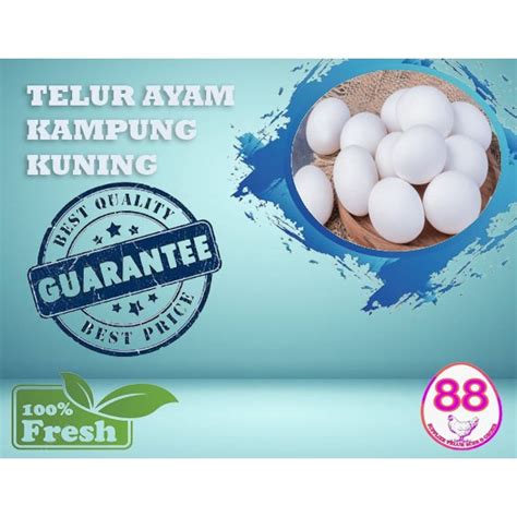 Jual Telur Ayam Kampung Kuning Butir Shopee Indonesia