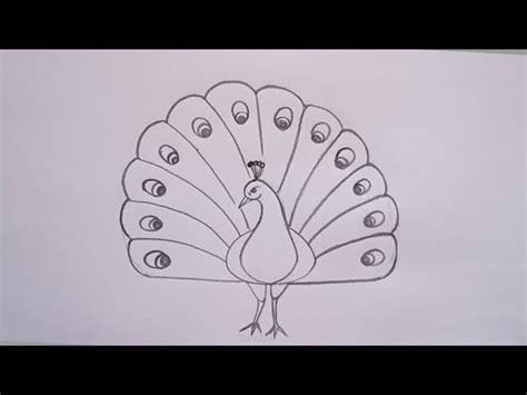 Discover more than 175 peacock drawing for class 3 super hot ...