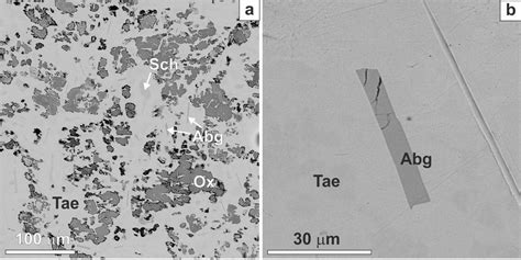 Back Scattered Electron Bse Images Of The Onello Iron Meteorite A