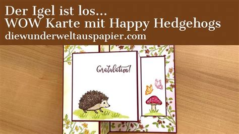 DIY Faltkarte Anleitung Karte Mit Wow Effekt Happy Hedgehogs