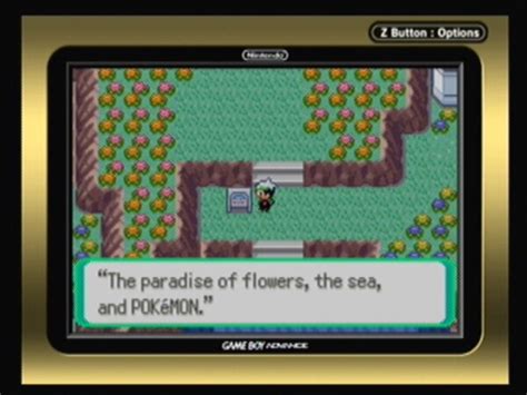 27 Unlocking Victory Road Pokemon Emerald Guide And Walkthrough