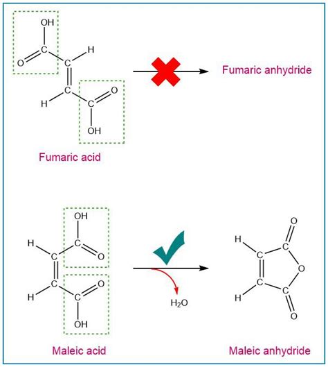 Fumaric And Maleic Acids Are E Z Isomers One Forms A Cycl Quizlet