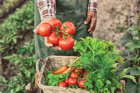 UrbanFarmer-FarmedTomatoes | Urban Farmer - Delicious, farm-to-table, fresh-tasting gluten-free ...