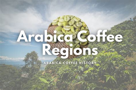 Arabica Coffee Regions, Arabica Coffee History: Discovering the Roots ...