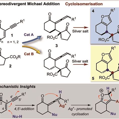 Diastereodivergent And Enantioselective Synthesis Of Chiral 2 3 Furan