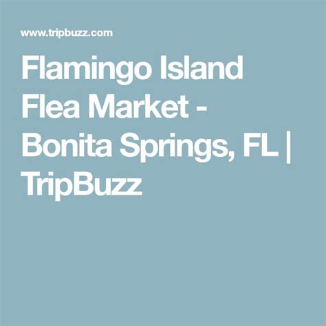 Flamingo Island Flea Market Bonita Springs Fl Tripbuzz Cheap