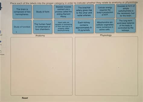 Solved Place Each Of The Labels Into The Proper Category In