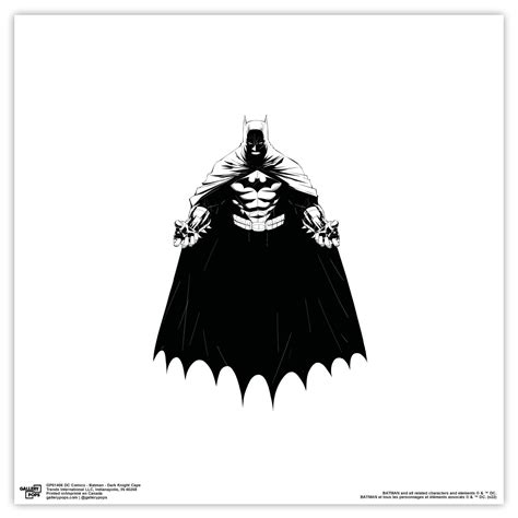 Gallery Pops DC Comics Batman Dark Knight Cape Wall Art Unframed