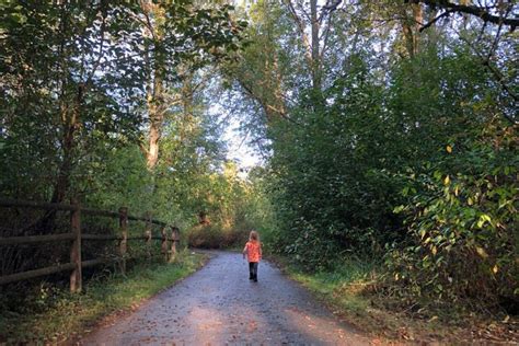 Comprehensive Trails Plan Update — Friends of Lake Sammamish State Park ...