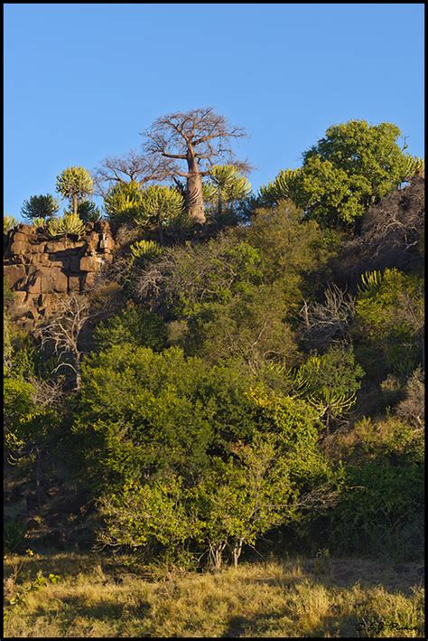 Botswana Landscapes Page