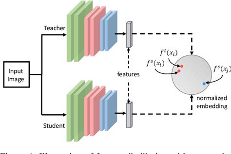 Feature Distillation With Guided Adversarial Contrastive Learning Paper And Code Catalyzex