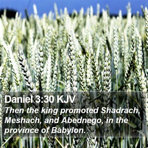 Daniel 3 Scripture Images - Daniel Chapter 3 KJV Bible Verse Pictures