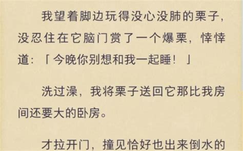 视频会议中。老板怀里突然跳上来一只猫。所有人的眼神一致地望向我。因为这只猫，前一分钟还在我的镜头里酣睡。我正欲辩解。老板拍了拍猫屁股：「乖，去